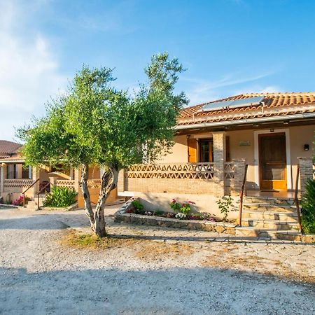 Aeolos Zante Villas With Heated Pool Vasilikí Exteriör bild